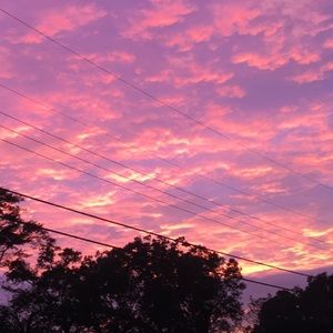 Meet your Posher, Dakota