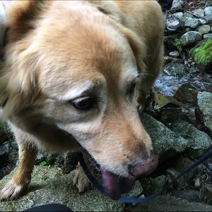 Meet your Posher, Malia