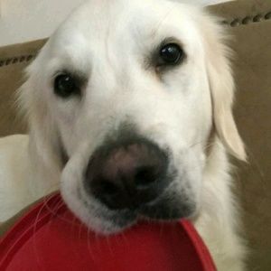 Meet your Posher, Kait