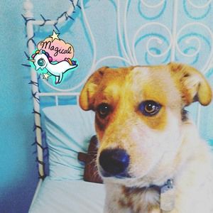 Meet your Posher, Lacey