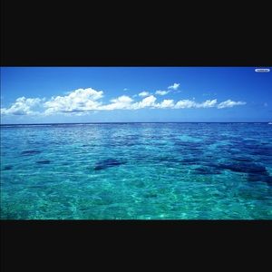 Meet your Posher, Michaela