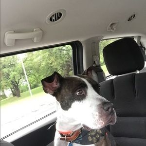 Meet your Posher, Jack