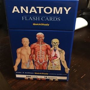Anatomy flash cards