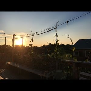 Meet your Posher, Denise