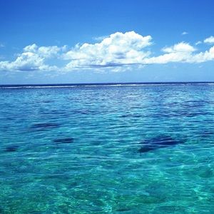 Meet your Posher, Stephanie!