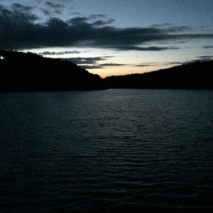 Meet your Posher, Delaney