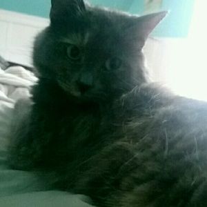 Meet your Posher, Crystal