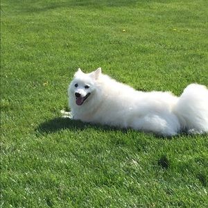 Meet your Posher, Kim