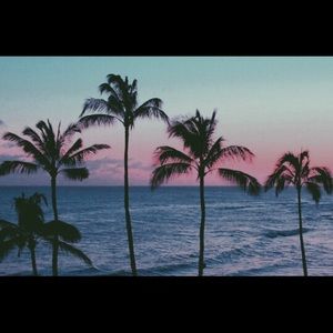 Meet your Posher, Maribel