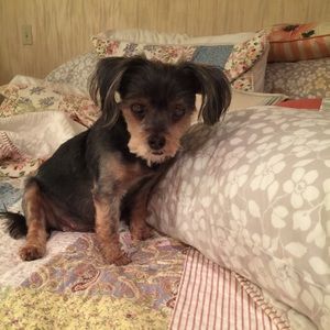 Meet your Posher, Rhonda