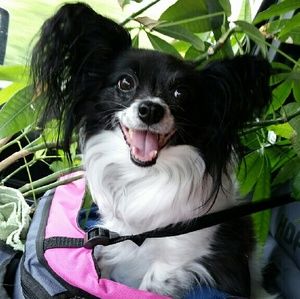 Meet your Posher, Lisa