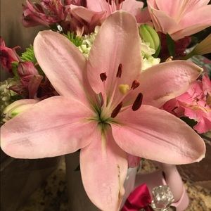 Meet your Posher, Kellye