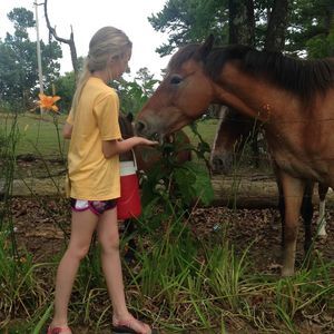 Meet your Posher, Morgan