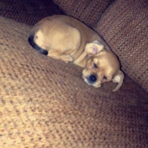 Meet your Posher, Cecilia