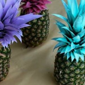 Meet your Posher, Ashton