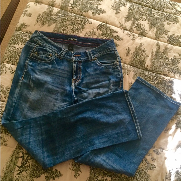Lane Bryant jeans