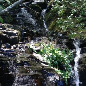 Meet your Posher, Lesli