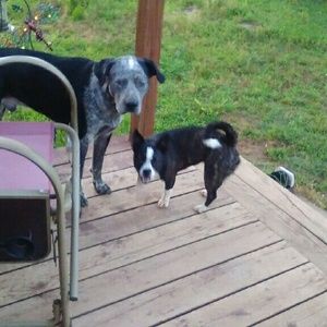 Meet your Posher, Tonya