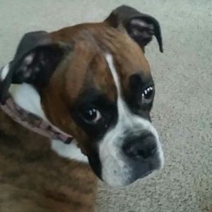 Meet your Posher, Heather