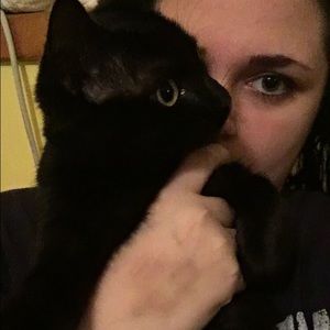 Meet your Posher, Lily