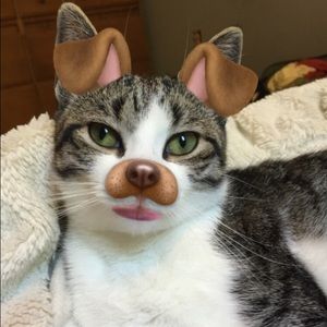 Meet your Posher, Maddi