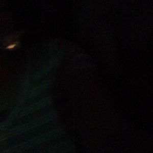 Meet your Posher, Chanel