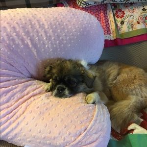 Meet your Posher, Sandi