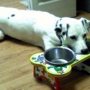 Meet your Posher, Jessika