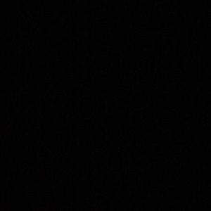 Meet your Posher, Priscilla