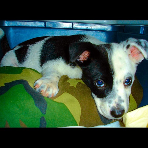 MY BABY - Picture 2 of 3