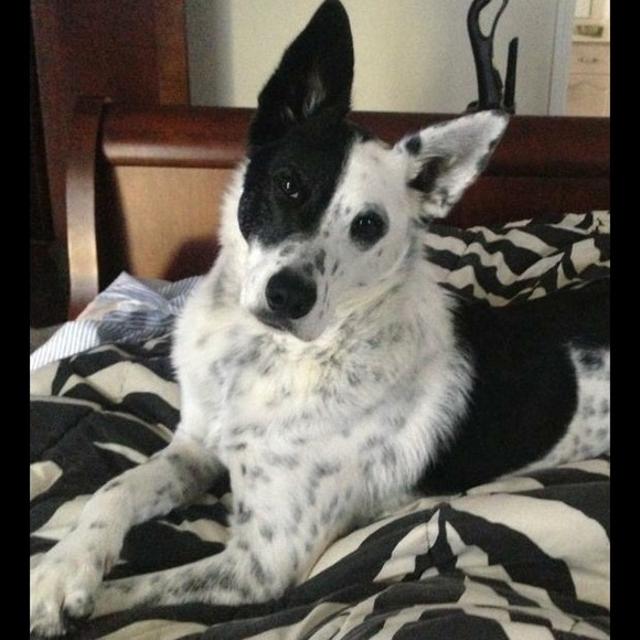 MY BABY - Picture 3 of 3