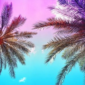 Meet your Posher, Jami