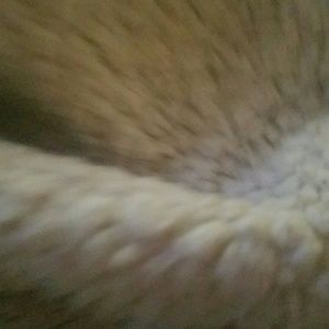 Meet your Posher, Sharissa