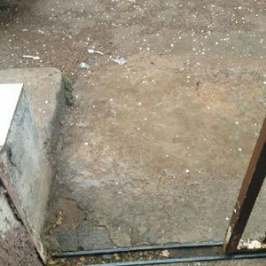 Meet your Posher, Liliana