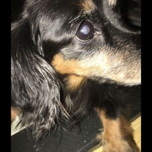 Meet your Posher, Carol