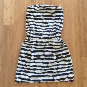 Aqua Zebra Stripped Dress