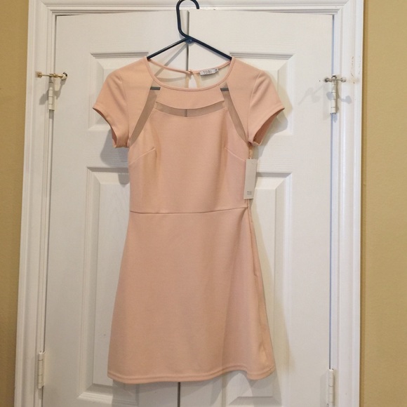 Mesh back petite dress, brand new with tags..