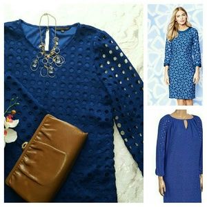 LAST DAY! Royal Blue Eyelit Lace Shift Dress