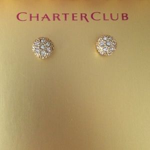 Lovely CharterClub earings