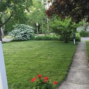 Meet your Posher, Barb