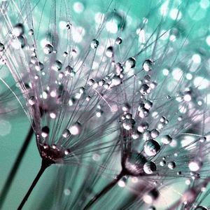 Meet your Posher, Katelyn