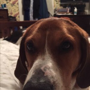 Meet your Posher, Judy