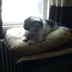 Meet your Posher, Debora