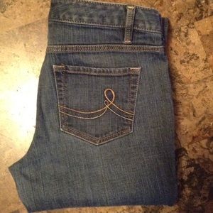 Ann Taylor LOFT Original Boot Jeans