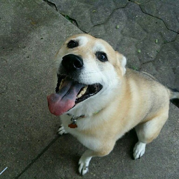 Meet your Posher, Mary - Picture 2 of 4