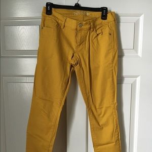Women's Colored Denim Jeans