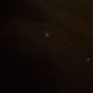 Meet your Posher, Edith