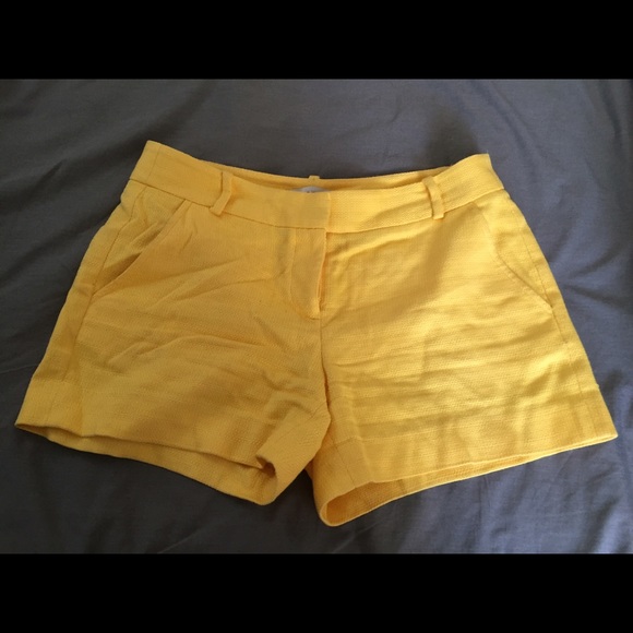 Loft shorts! - Picture 1 of 2