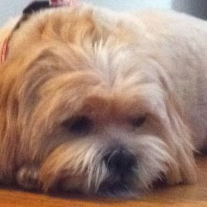 Meet your Posher, Nancy