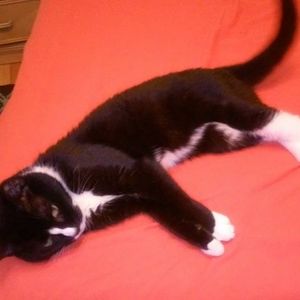 Meet your Posher, Cathy